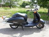 Honda Shadow 50 Roller incl Papiere&Schlüssel wenig KM - HONDA ROLLER 50