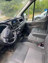 Ford Transit L5H3 Lang 1. Hand - nur Langstrecke -  - Ford Transit in Bonn