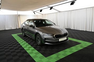 Skoda Octavia - 4