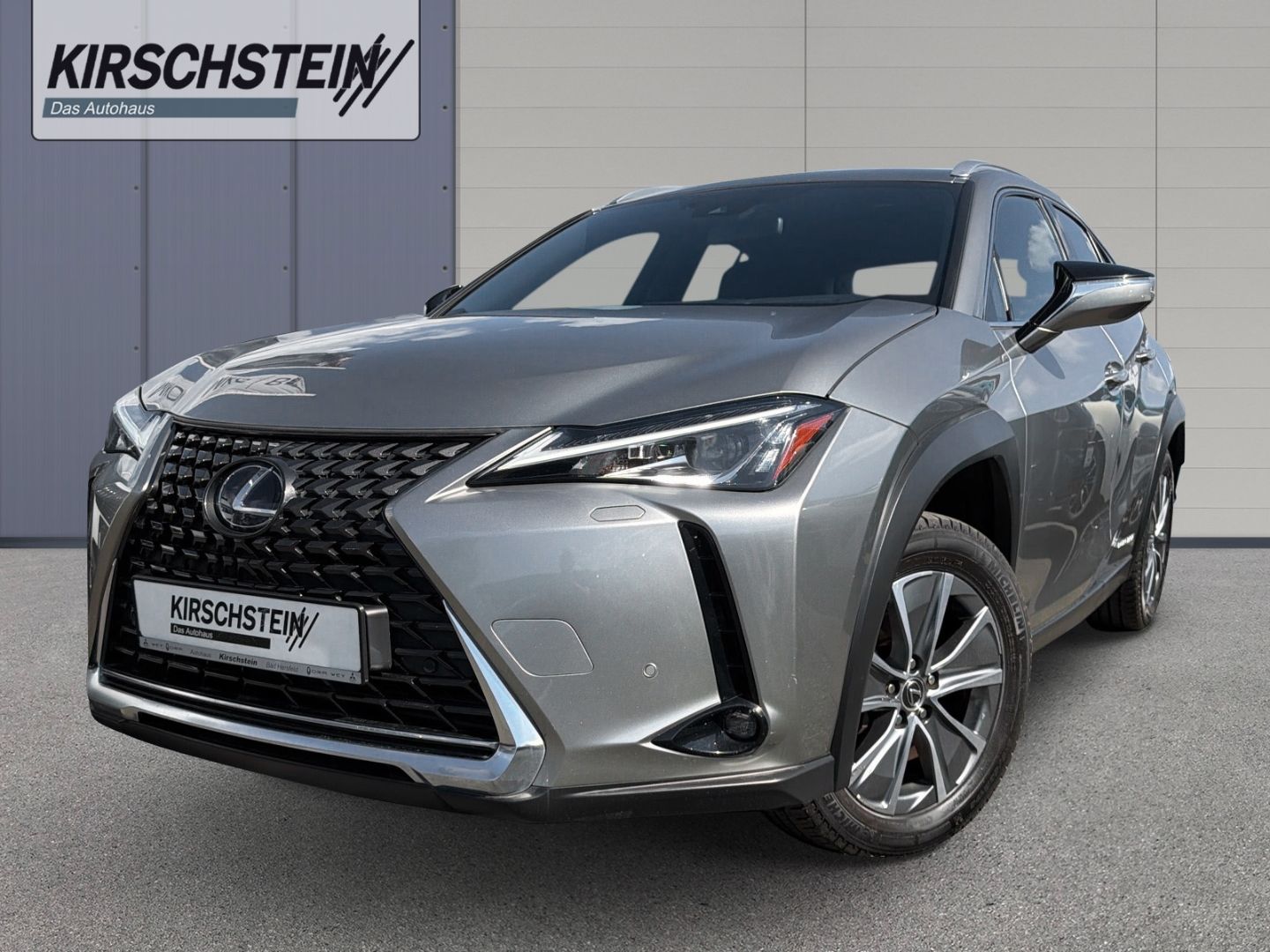 Lexus Lexus UX 300e Premium Kamera App-Navi LED Leder Si