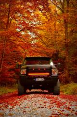 Ford f250 6.0 - Ford F 250 mit Diesel-Antrieb