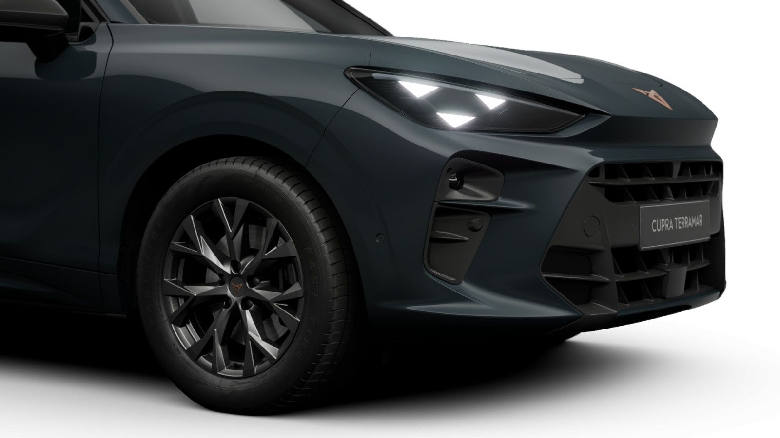 Cupra Terramar - Bild 4