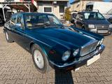 Jaguar XJ12 DAIMLER DOUBLE SIX  H-Ken. - Jaguar: 12