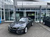 BMW 220iA Cabrio Luxury Line LED/Navi/Leder/H+K - gebrauchte BMW 220 aus dem Jahr 2019
