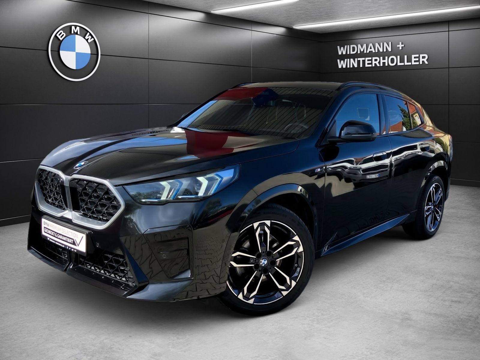BMW X2 xDrive20d M Sport ad.LED HUD PA DA DA AHK foto 1