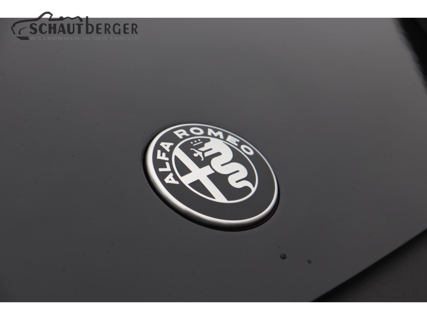 Alfa Romeo Junior - Bild 31