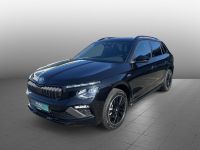 Skoda Kamiq - Vorschau Bild 1
