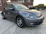 Volkswagen Beetle Cabriolet Cup - Volkswagen Beetle: Cabrio