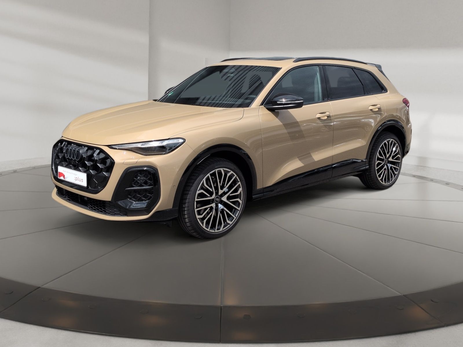 Audi SQ5 - Bild 3