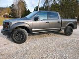 Ford F150 Crew cab - Ford F 150: Crew Cab