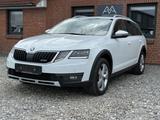 Skoda Octavia 2.0 TDI DSG Combi Scout 4x4 LED Canton - Skoda Octavia: TDI Scout