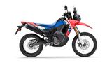 Honda CRF 300 RALLY 25 - sofort verfügbar - Offers matching your search criteria
