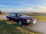 Jaguar XJS 3,6 - Jaguar XJS: 3.6