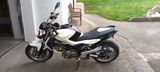 Suzuki Gladius - Angebote entsprechen deinen Suchkriterien