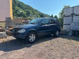 Mercedes-Benz ML 320 - W163 - AHK  - Mercedes-Benz: 7sitzer, Ml