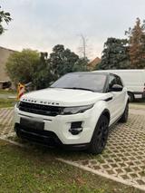 Andere Range Rover Evoque S.D4 - Andere: Kombi