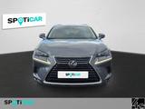 Lexus NX 300 Luxury Line - graue Lexus NX 300