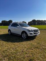 Mercedes-Benz ML 300 CDI 4MATIC BlueEFF. Grand Edition Gra... - Mercedes-Benz ML 300 aus 2011