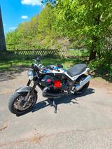 Moto Guzzi Griso 1200 Martini  - MOTO GUZZI GRISO
