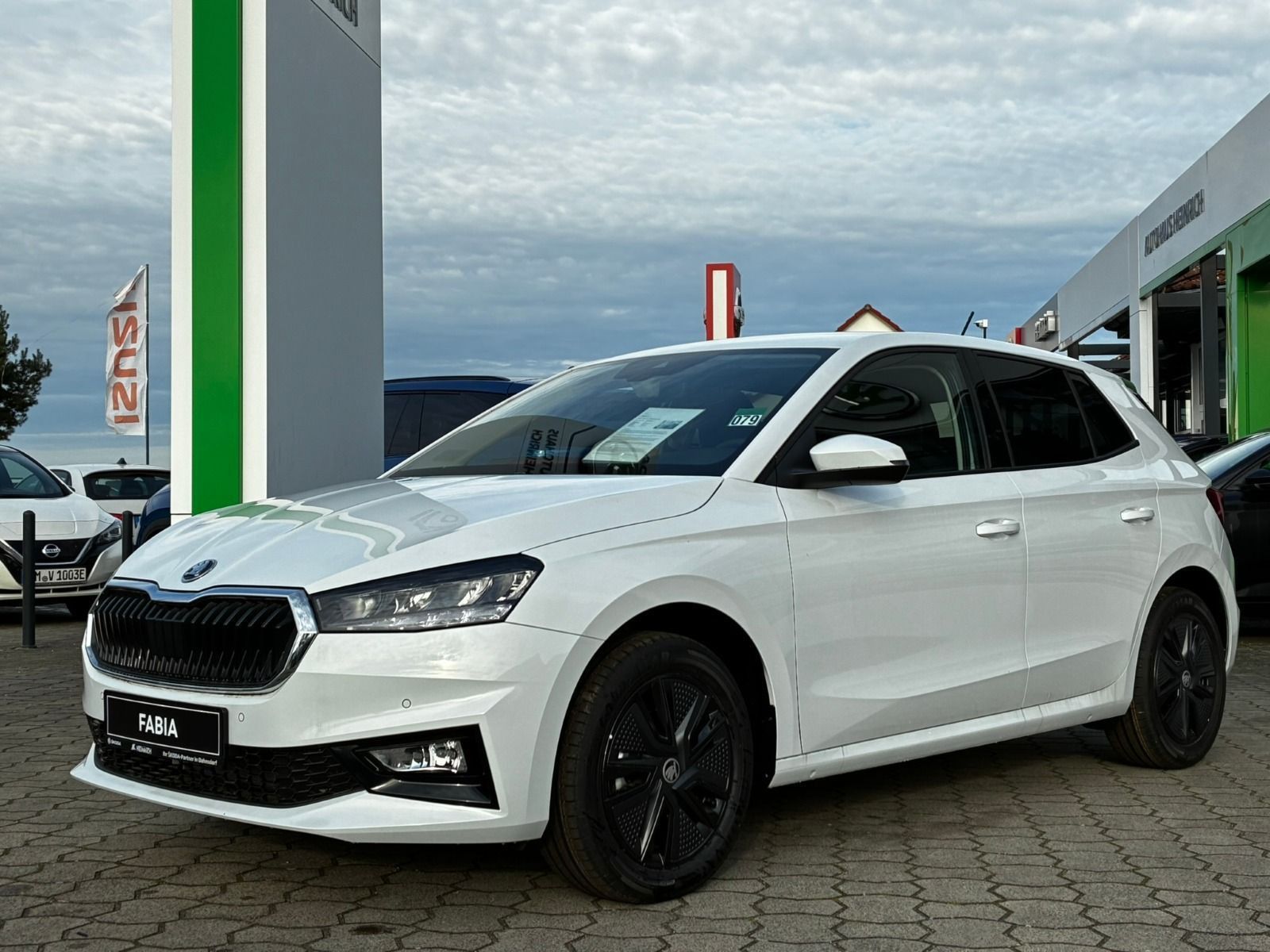 Fahrzeugabbildung SKODA Fabia 1.0 TSI Selection OPF