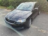 Skoda Rapid 1.4 TDI Cool Edition Spaceback  - Skoda Rapid in Bonn