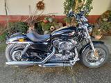 Harley-Davidson Sportster Custom Bike XL1200C - Offers