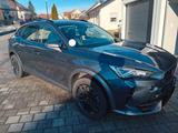 Cupra Formentor 1.5 TSI 150 PS 7-Gang-DSG - Cupra Formentor von privat
