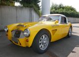 Austin Healey 3000 MK1 BN7 1959, Renn-Rallye Fahrzeug - Austin Healey: Bn1