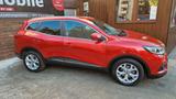 Renault Kadjar Business Edition, Automatik, PDC, SHZ - Renault Gebrauchtwagen von 2019
