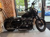 Harley-Davidson NIGHTSTER - HARLEY-DAVIDSON NIGHTSTER