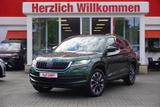 Skoda Kodiaq 2.0 Drive 125 4x4 DSG ACC Totwinkel AHK - Skoda: Grün
