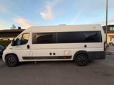 Fiat Kastenwagen Westfalia Amundsen 640 E | 57.300km - Fiat Kastenwagen