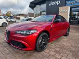 Alfa Romeo Giulia 2.9 V6 Quadrifoglio Techpak. 19", Etna - Alfa Romeo: Quadrifoglio