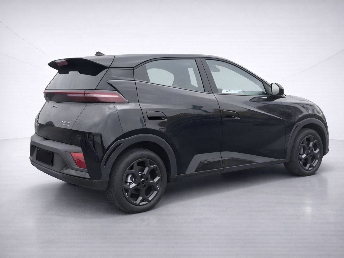 BYD DOLPHIN SURF
