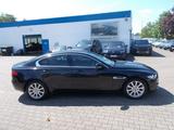 Jaguar XE Prestige, Leder Navi Kamera zus.Winterreifen - Jaguar XE Benziner Gebrauchtwagen