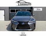 Lexus UX 250 h - graue Lexus UX