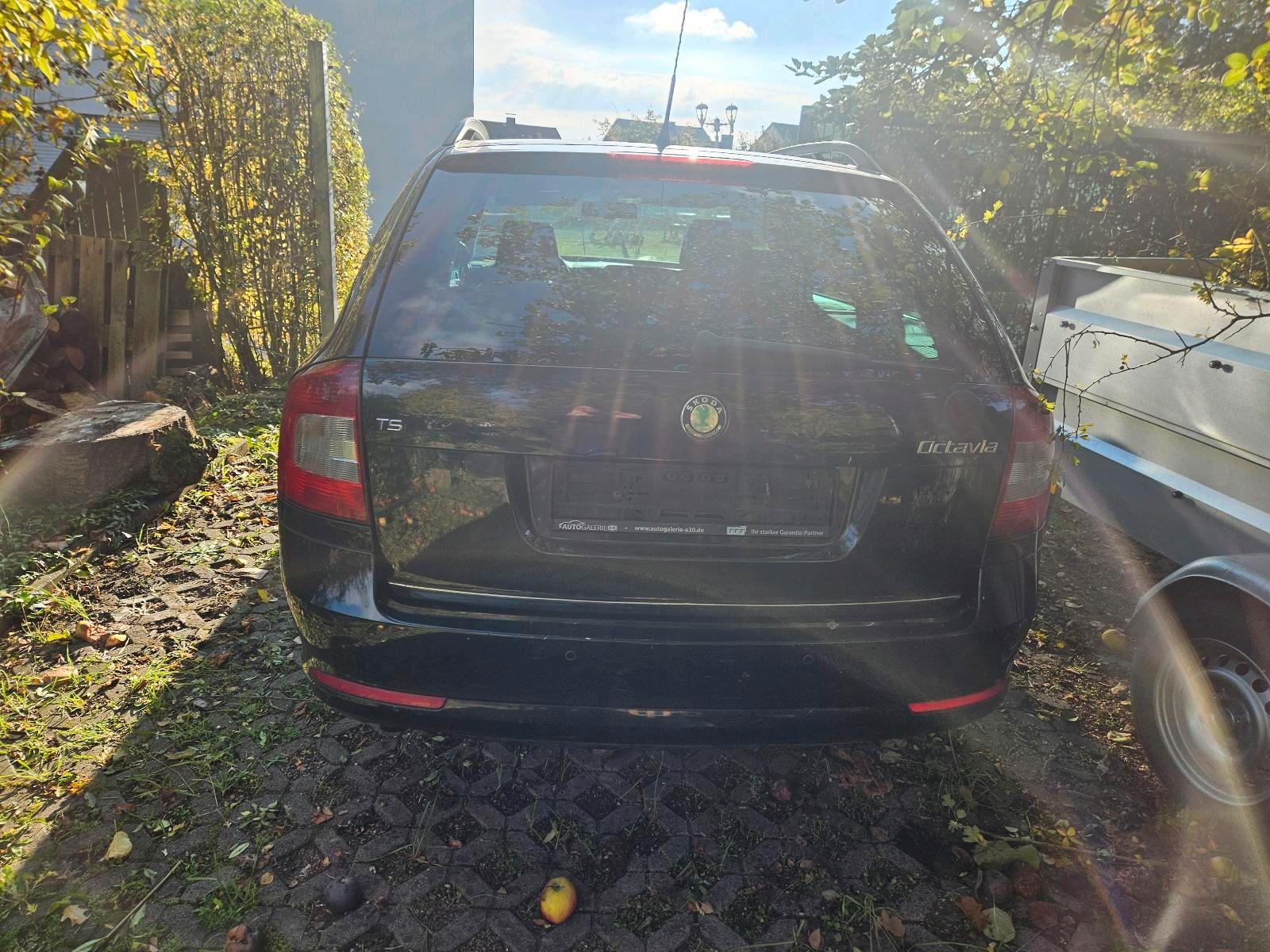 Skoda Octavia 2009 — engine 160 HP (118kW)