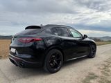 Alfa Romeo Stelvio AT8 2.0 Turbo Q4 - Alfa Romeo Stelvio: Privatanbieter