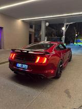 Ford Mustang 5.0 Ti-VCT V8 / Shelby GT500 Optik  - Ford Mustang: Shelby Gt500