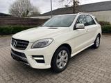 Mercedes-Benz ML 350 CDI BlueTec AMG Paket - Mercedes-Benz ML 350 in Krefeld