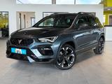Cupra Ateca Basis 4Drive *360*Schiebedach*Beats*ACC* - Cupra Gebrauchtwagen in Bielefeld