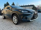 Lexus NX 300 300h Business Line - Lexus NX 300 Gebrauchtwagen