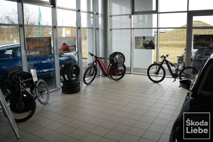 showroom-image-top