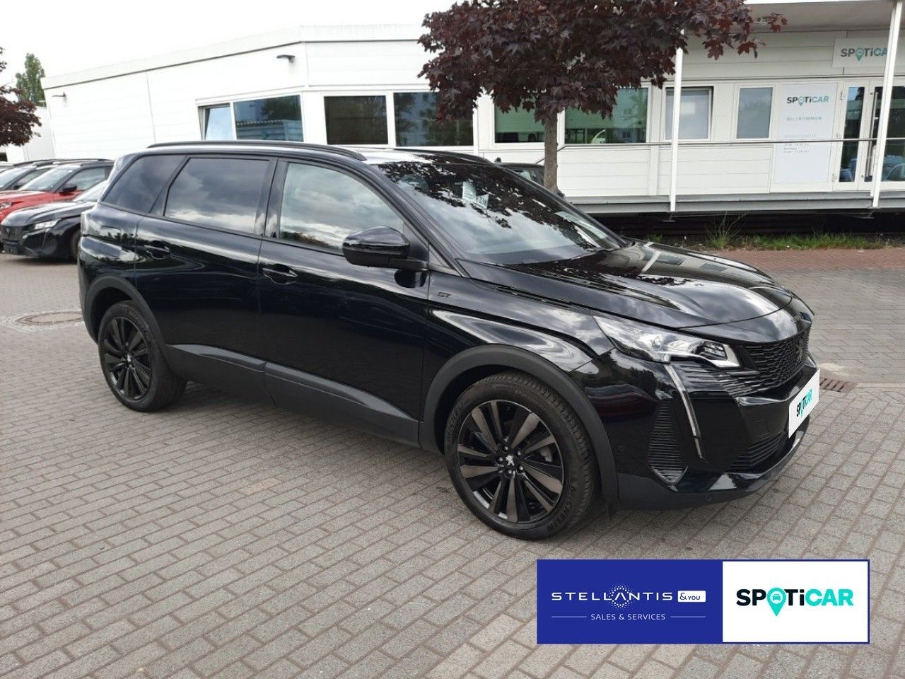 Peugeot 5008 GT Mild-Hybrid 145 5-Sitzer Leder Panodach  imagem 3