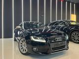 Audi A5 Cabrio 2.7 TDI F.AP. multitronic Ambitio - Audi A5: 2.7