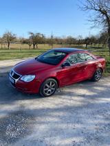 Volkswagen Eos 1.6 FSI Standard - Volkswagen Eos: Standard