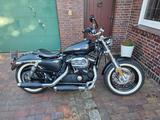 Harley-Davidson Sportster 1200 Custom Limited - HARLEY-DAVIDSON 1200 CUSTOM