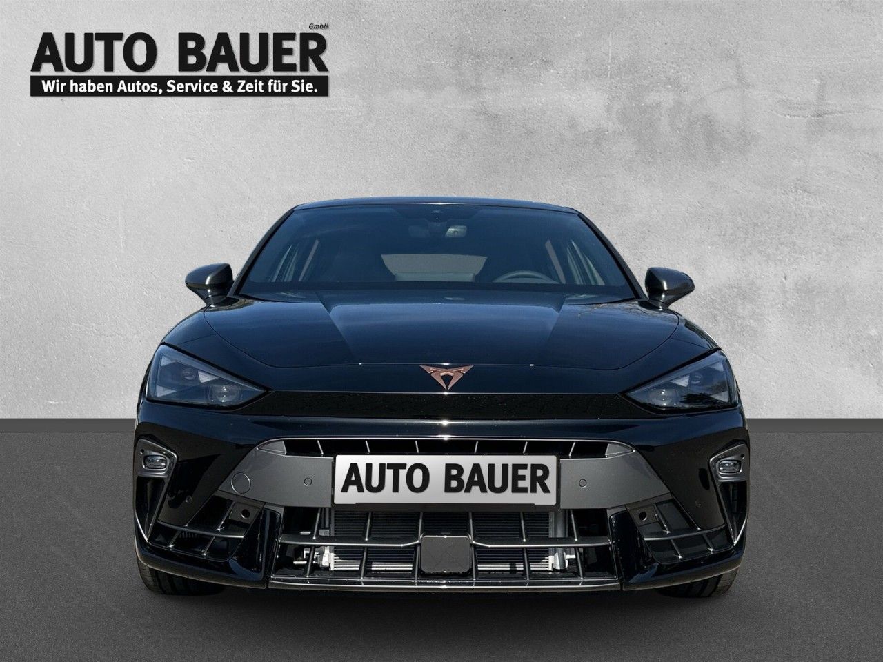 Fahrzeugabbildung CUPRA Leon VZ 2.0 TSI 7-Gang-DSG