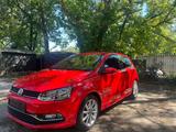 Volkswagen VW Polo 1.0 TSI | 110 PS | Sitzheizung | PD - gebrauchte Kleinwagen in Potsdam