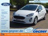 Ford Fiesta Van 75PS Trend LKW SYNC3 - Angebote